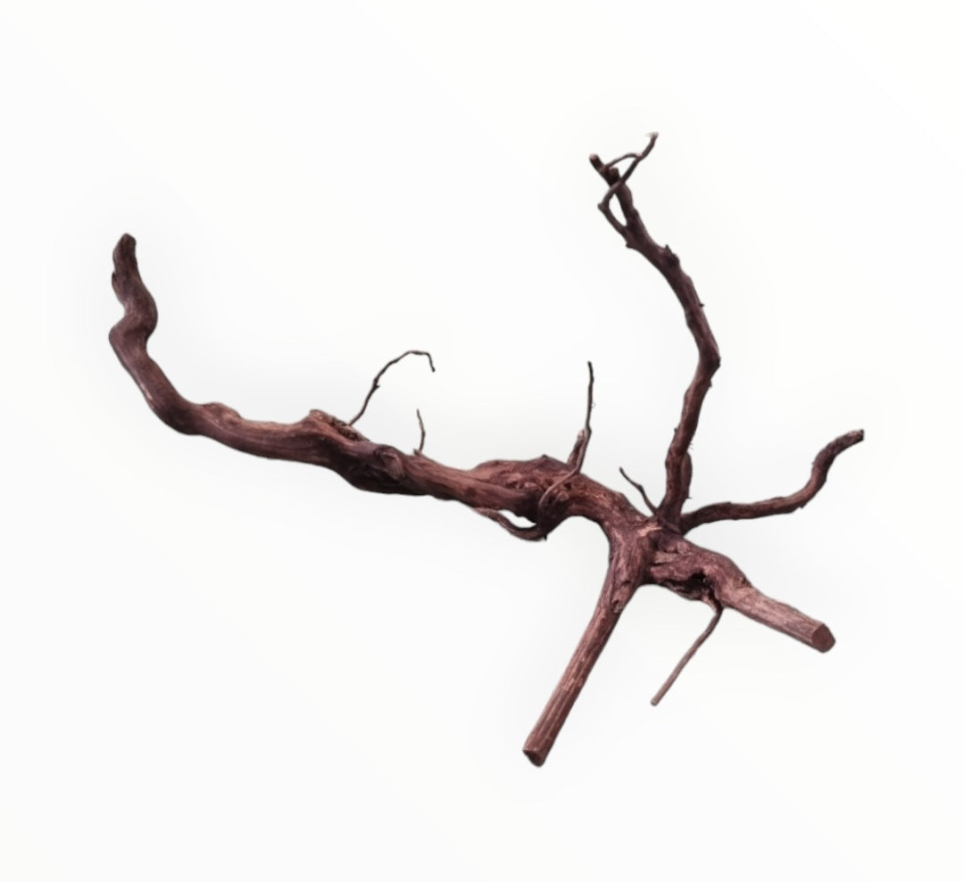 Dark Snake Wood Nr.576