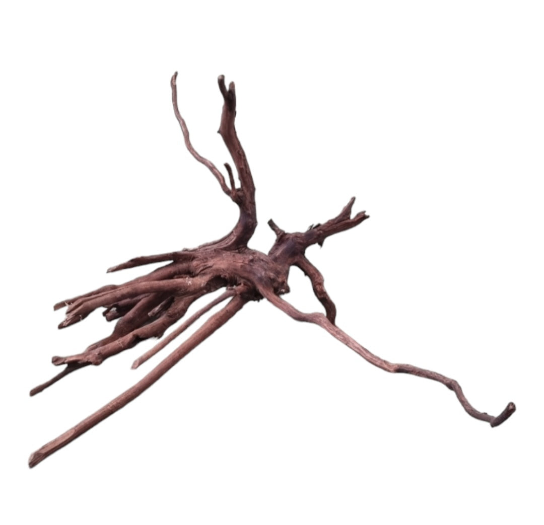 Dark Snake Wood Nr.577