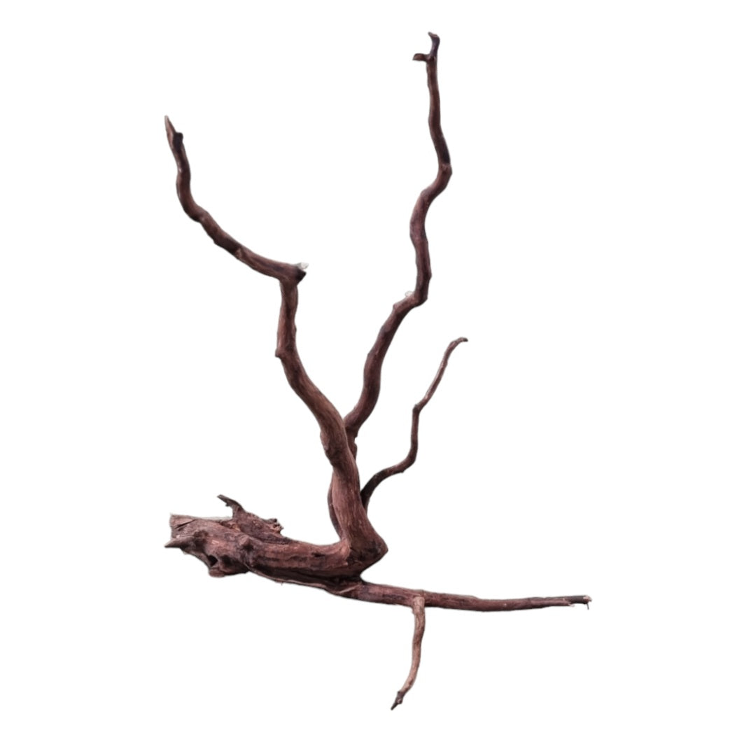 Dark Snake Wood Nr.578
