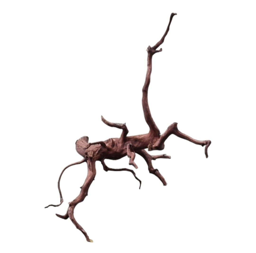 Dark Snake Wood Nr.579