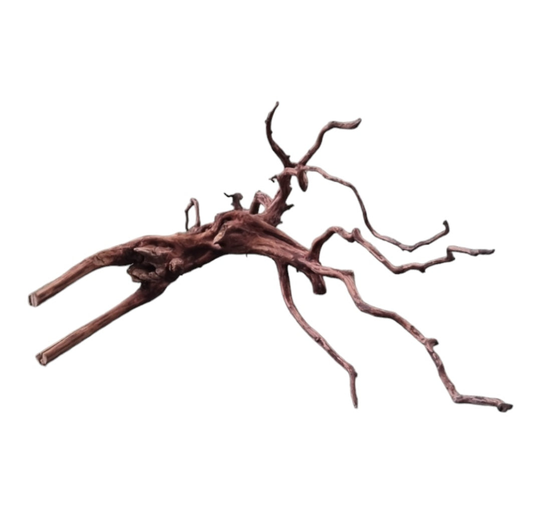 Dark Snake Wood Nr.581