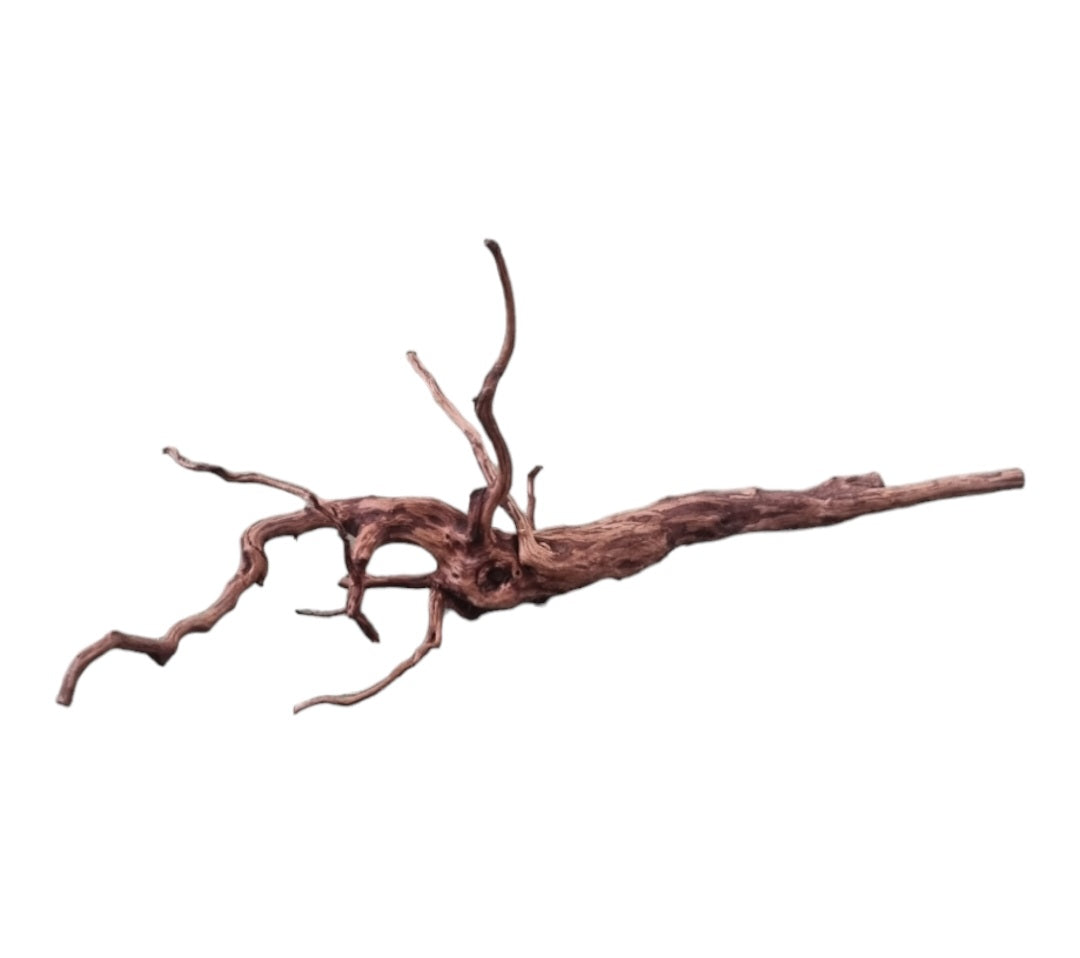 Dark Snake Wood Nr.586