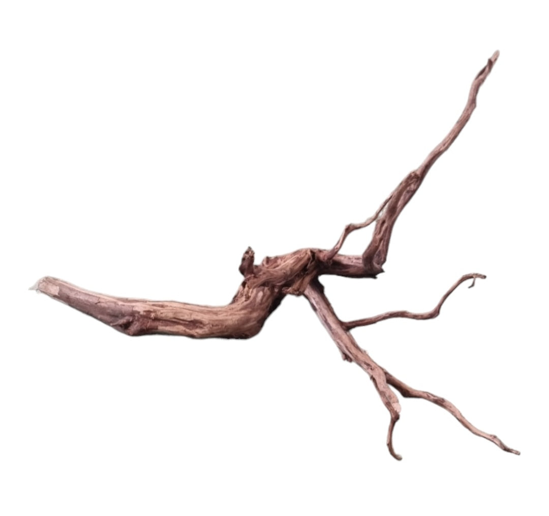 Dark Snake Wood Nr.585