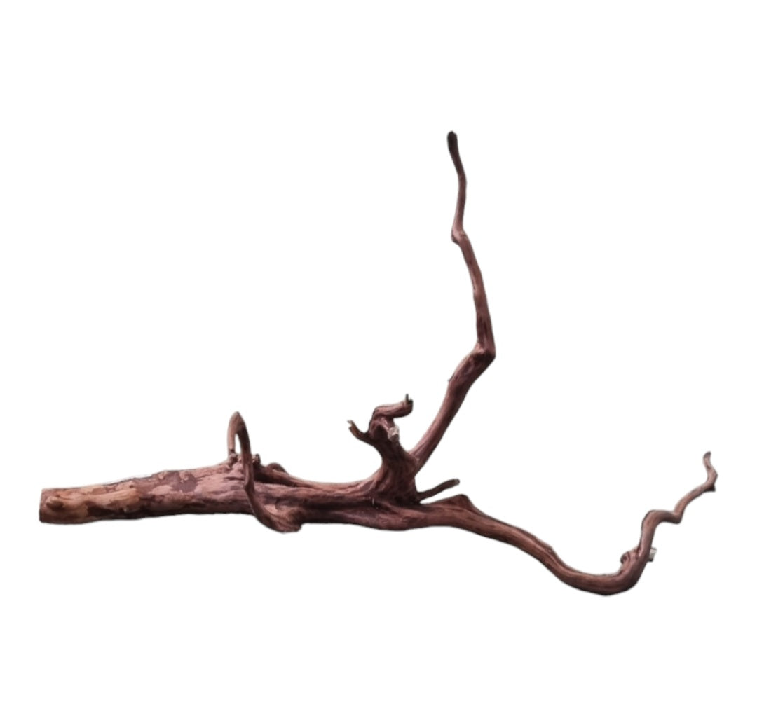 Dark Snake Wood Nr.583