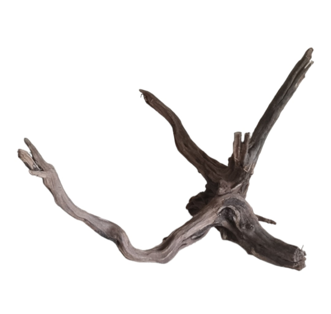 Coral Sinker Wood Nr.606