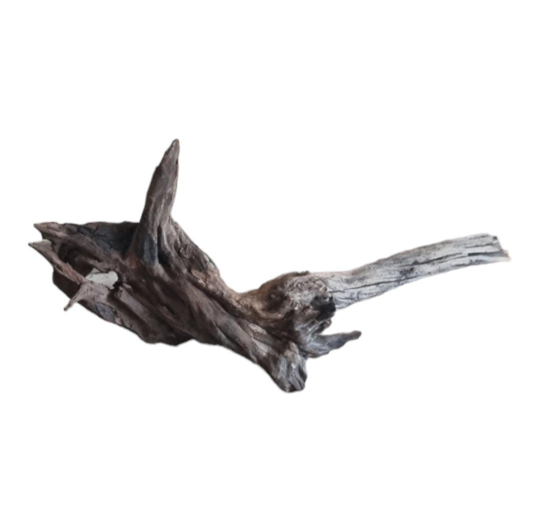 Coral Sinker Wood Nr.612