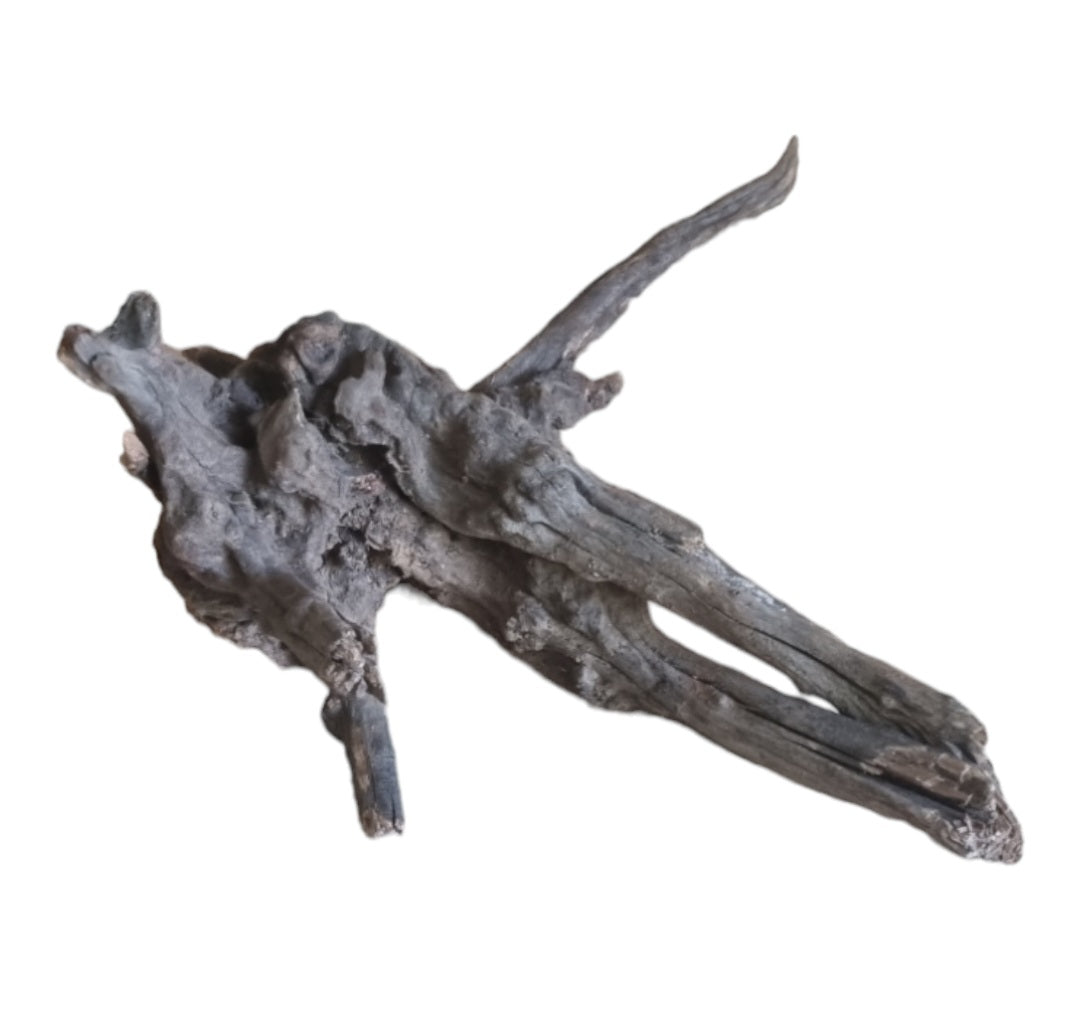 Coral Sinker Wood Nr.626