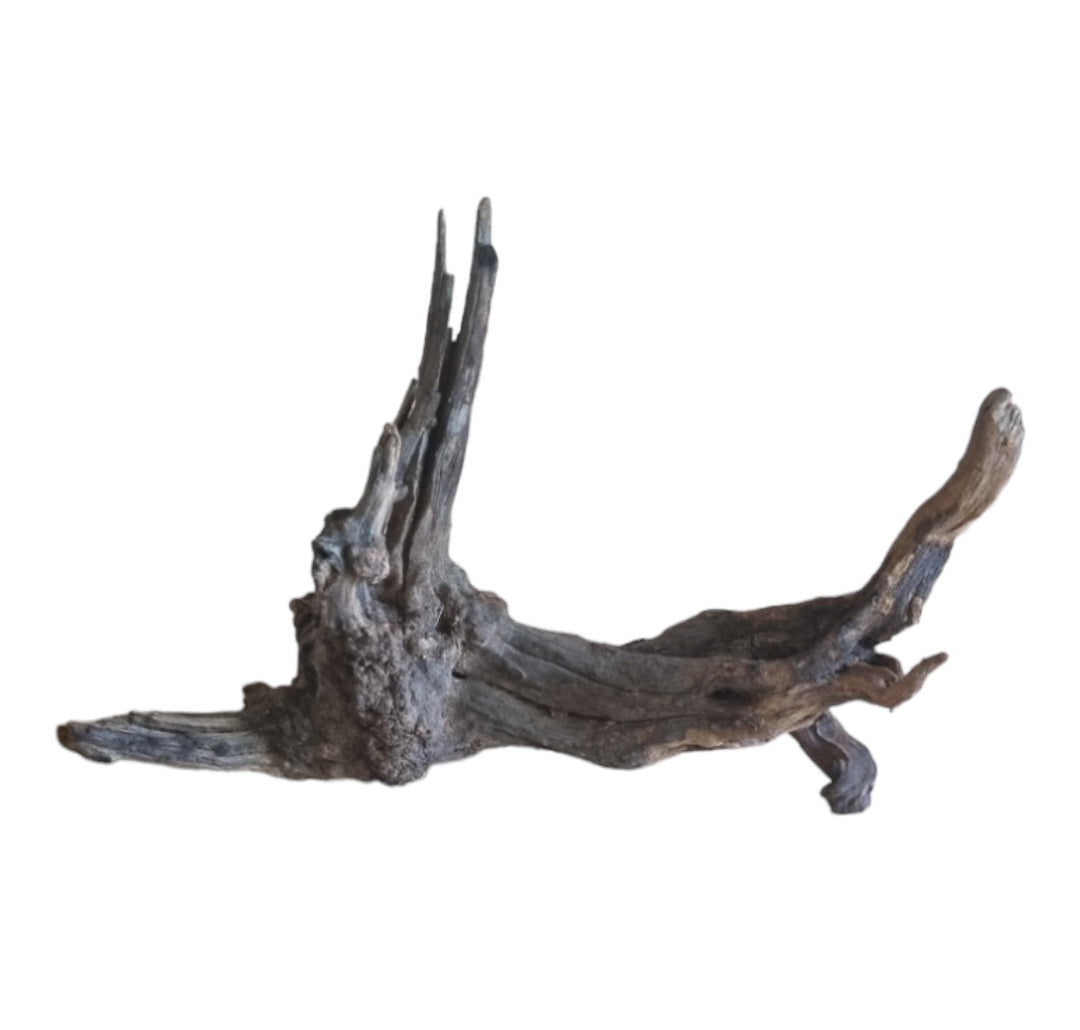 Coral Sinker Wood Nr.630