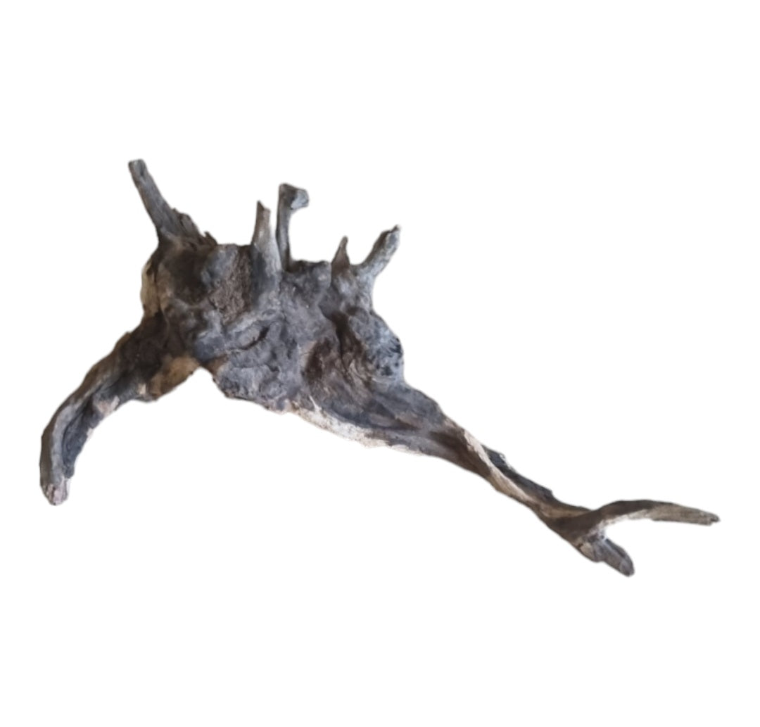 Coral Sinker Wood Nr.636