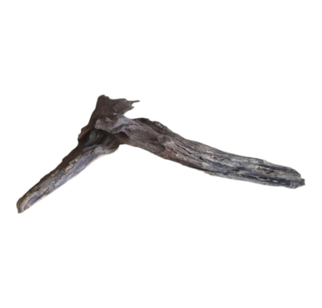 Coral Sinker Wood Nr.638