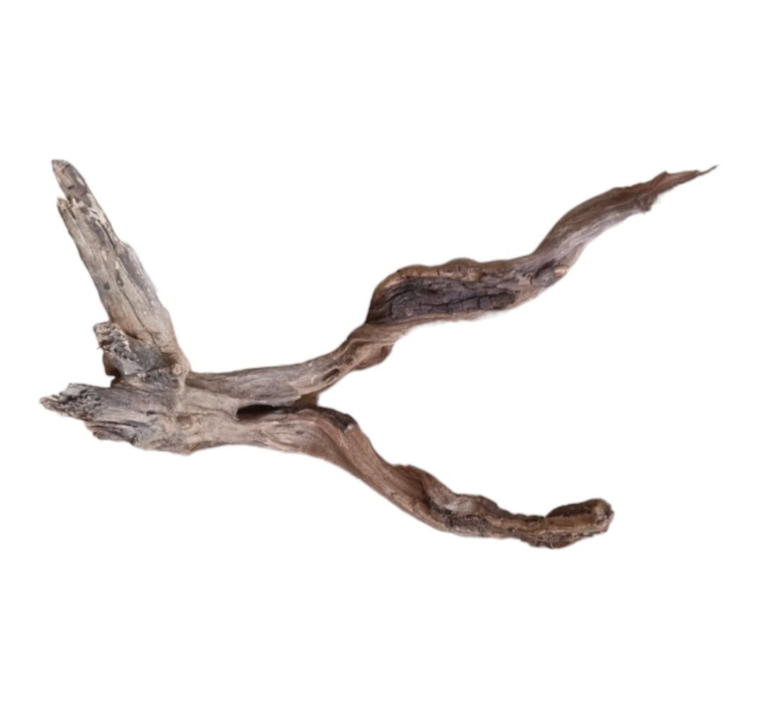 Coral Sinker Wood Nr.644