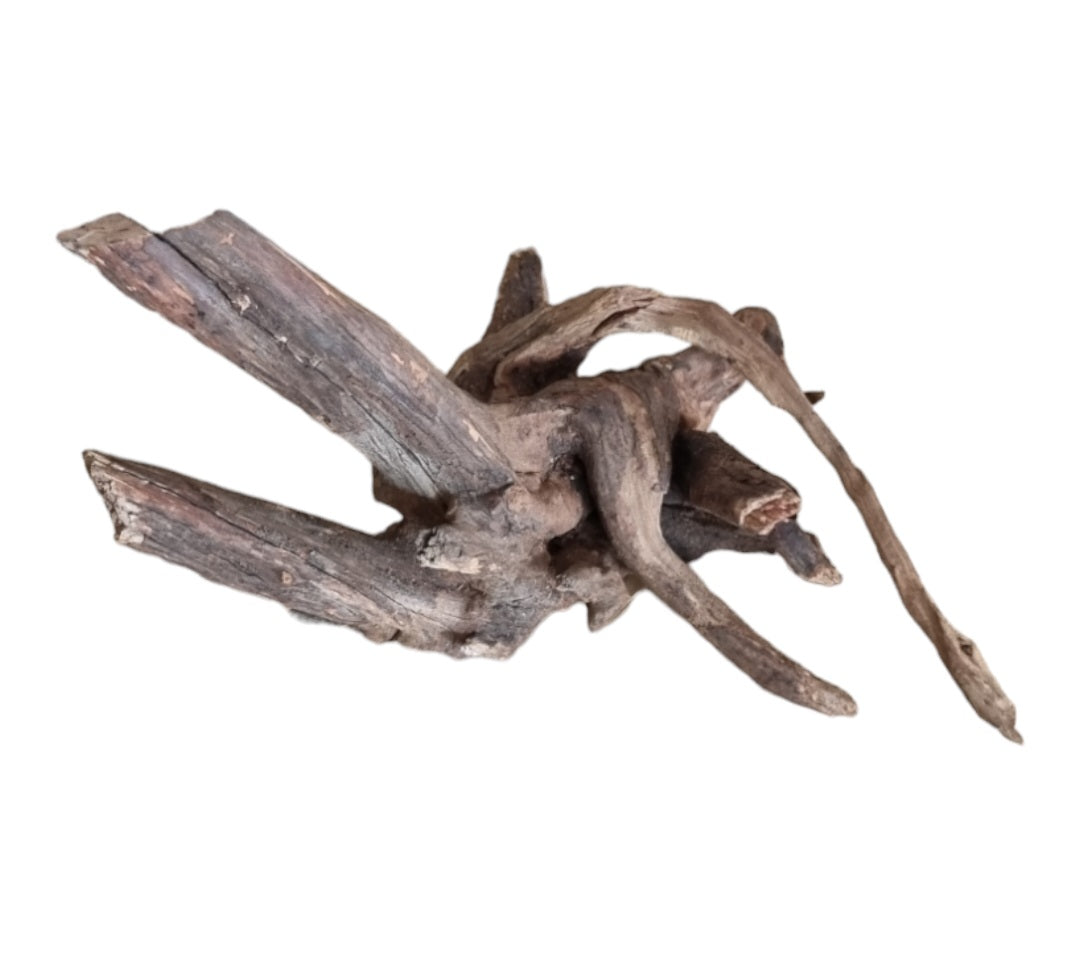 Coral Sinker Wood Nr.645