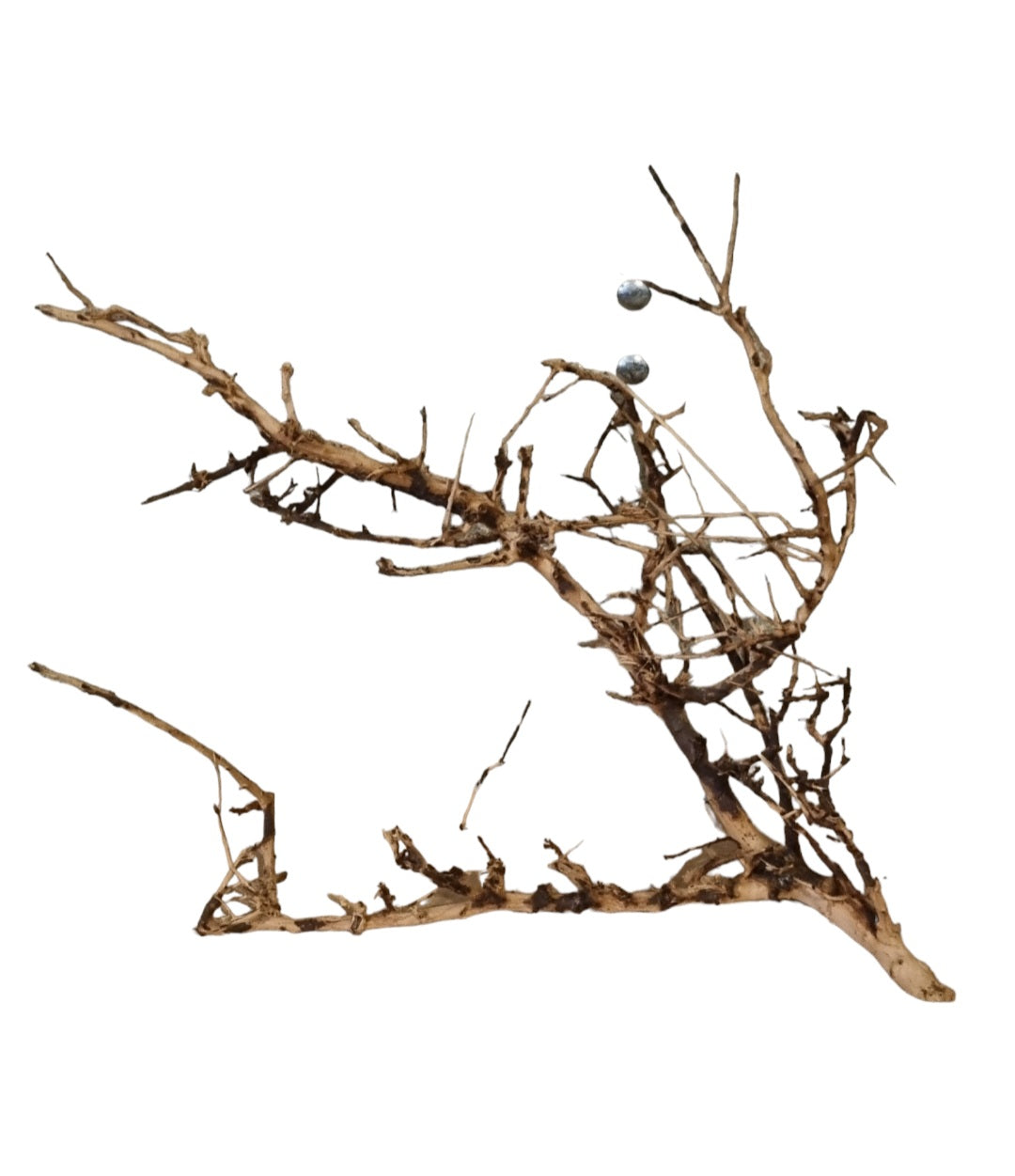 Small tree branches Nr.661