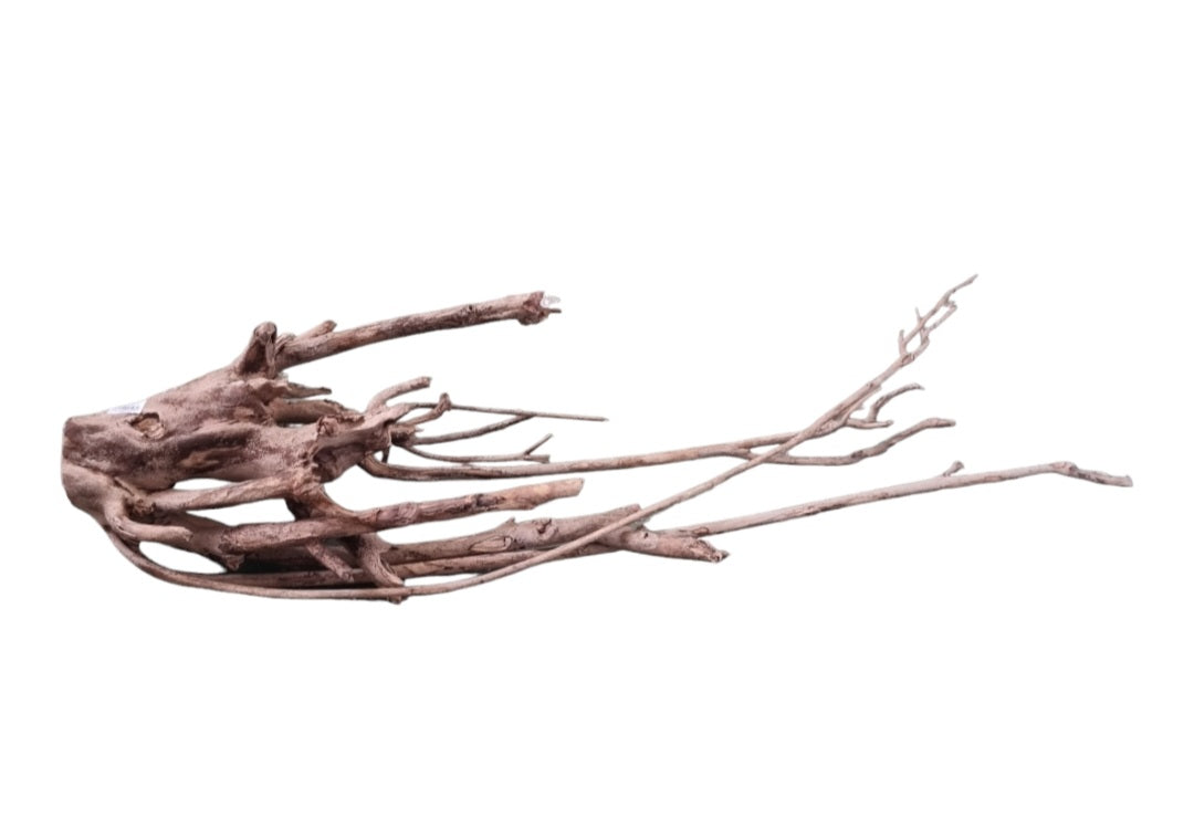 Talawa Holz / Wood 80-100 cm Nr. 679