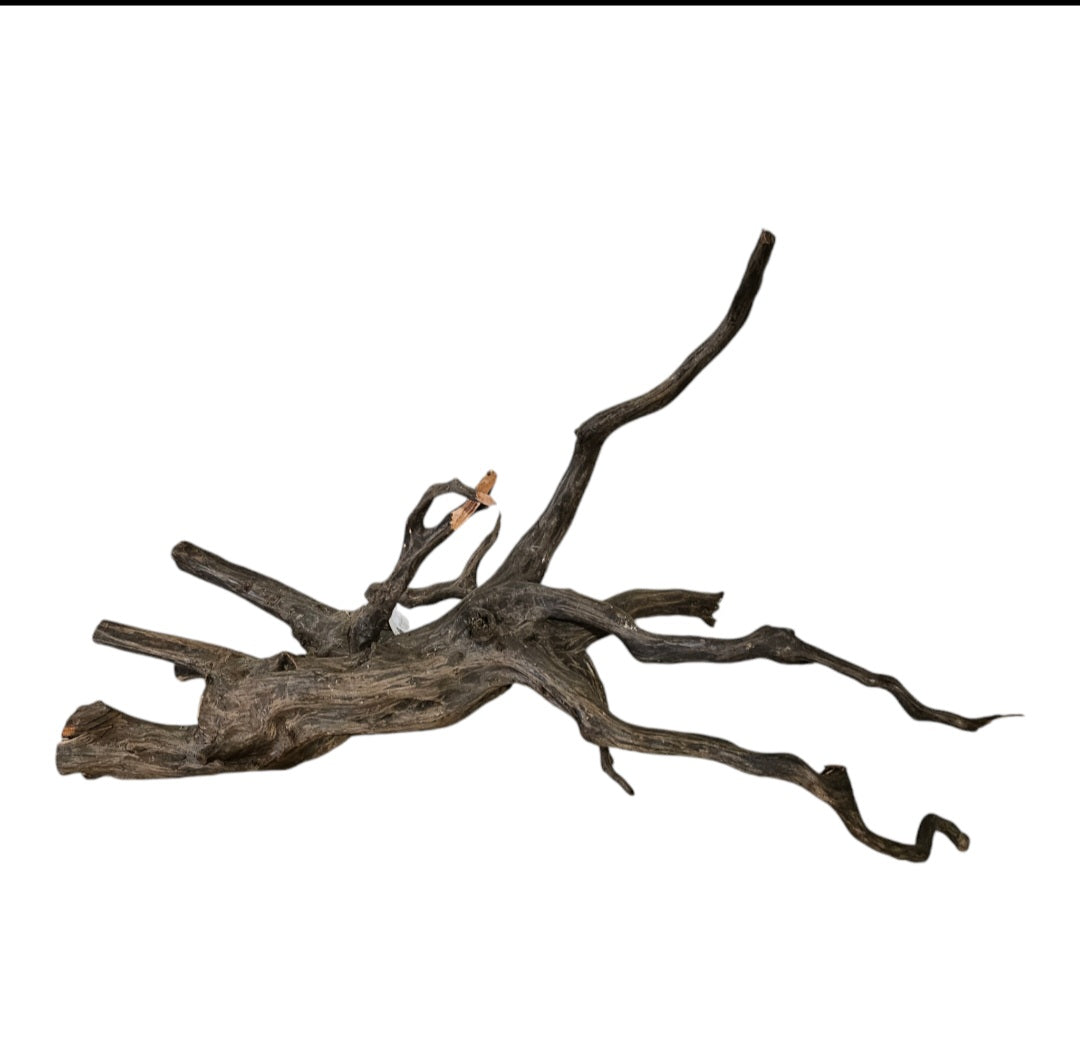 Black Root L Wurzel680