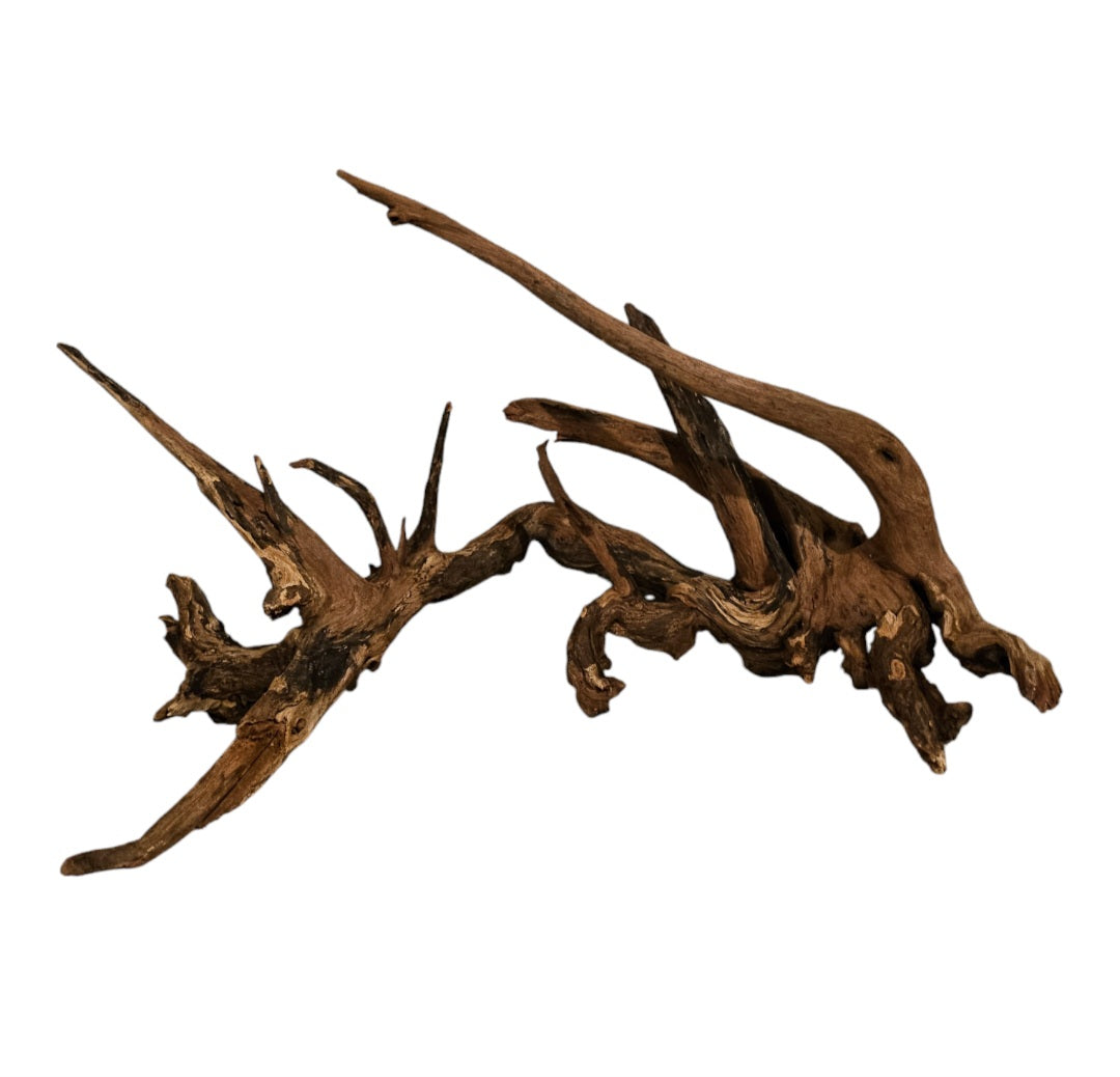 Driftwood / Flusswurzel Nr. 273