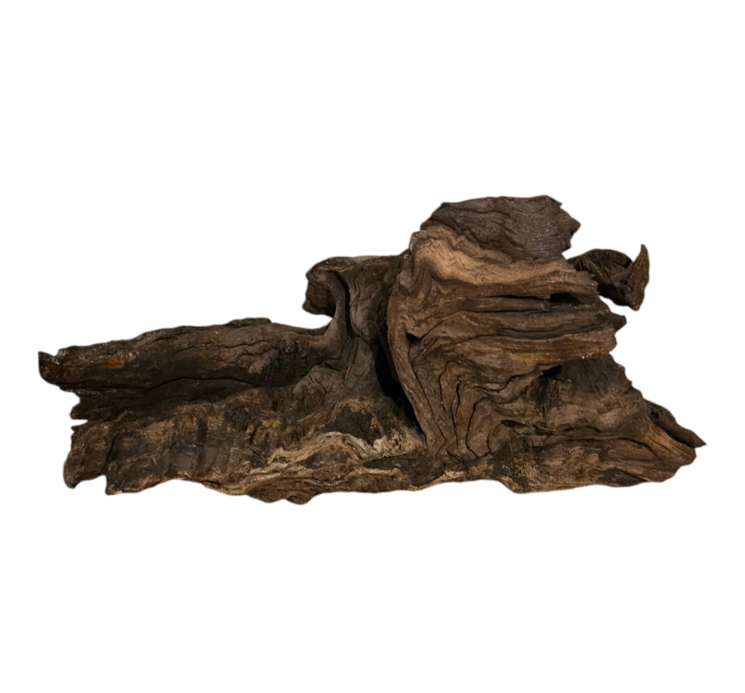 Driftwood / Flusswurzel Nr.212