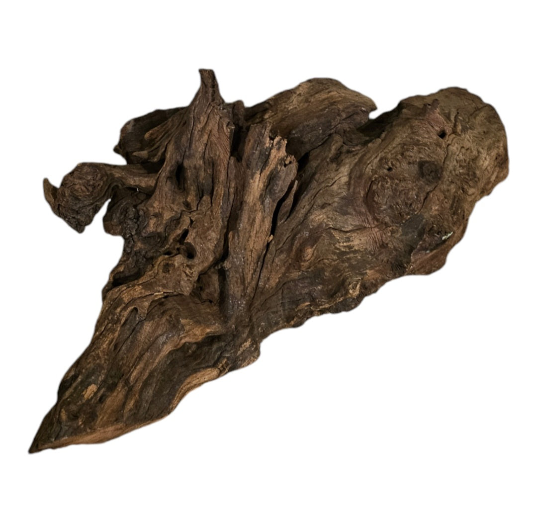 Driftwood / Flusswurzel Nr.212