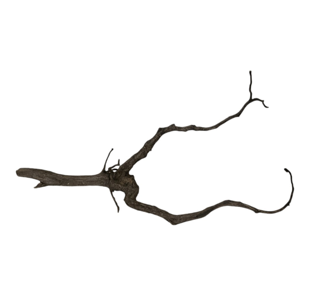 Rasamala Black Scaper Root Nr.740