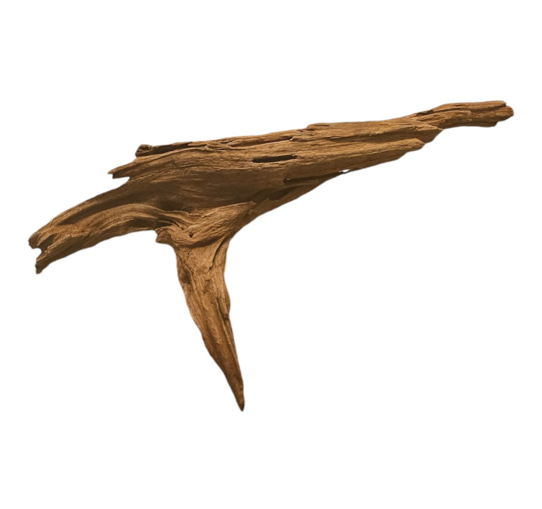 Yati Holz / Jungle Wood, M, 25-35 cm / ähnlich Mangroven Nr. 104