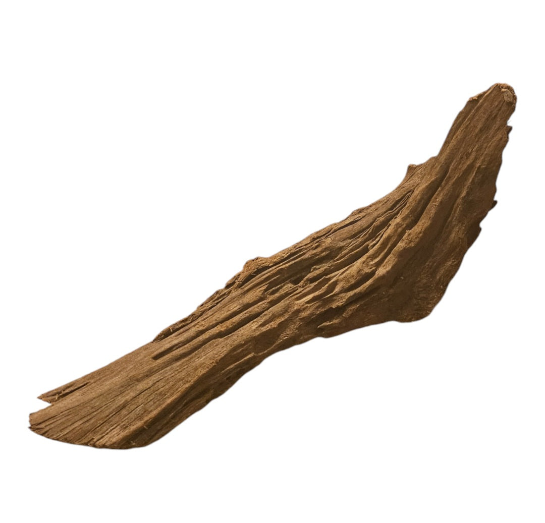 Yati Holz / Jungle Wood, M, 25-35 cm / ähnlich Mangroven Nr.155