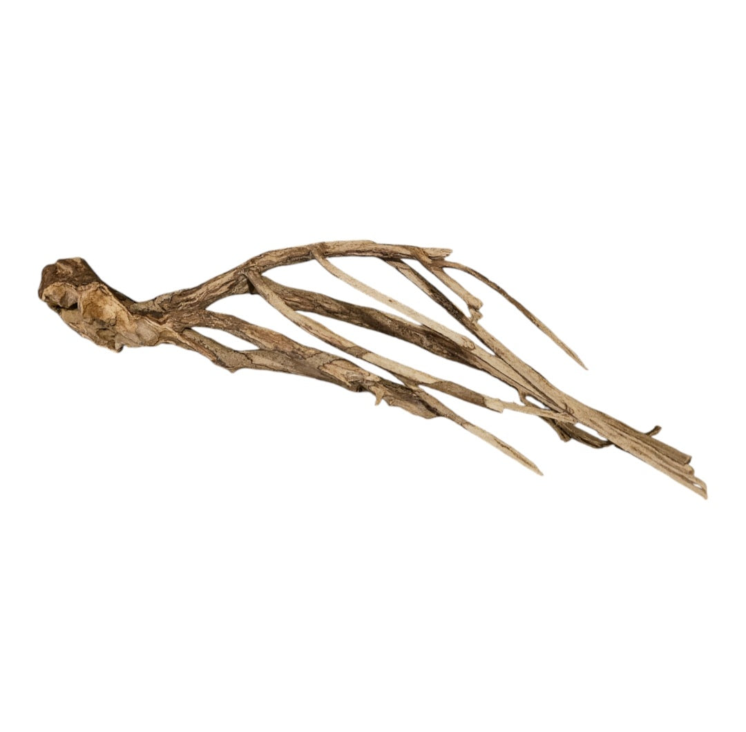 Talawa Holz/Wood 30-45cm Nr. 231