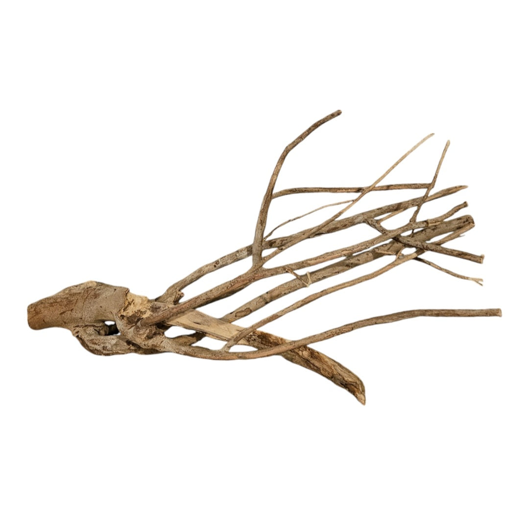 Talawa Holz / Wood 50-70 cm Nr. 678