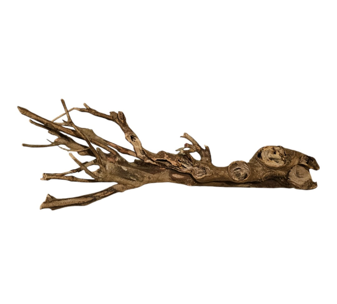 Talawa Holz / Wood 50-70 cm Nr. 776