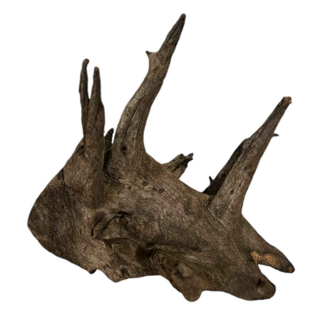 Corbo Wurzel Nano Nr.99