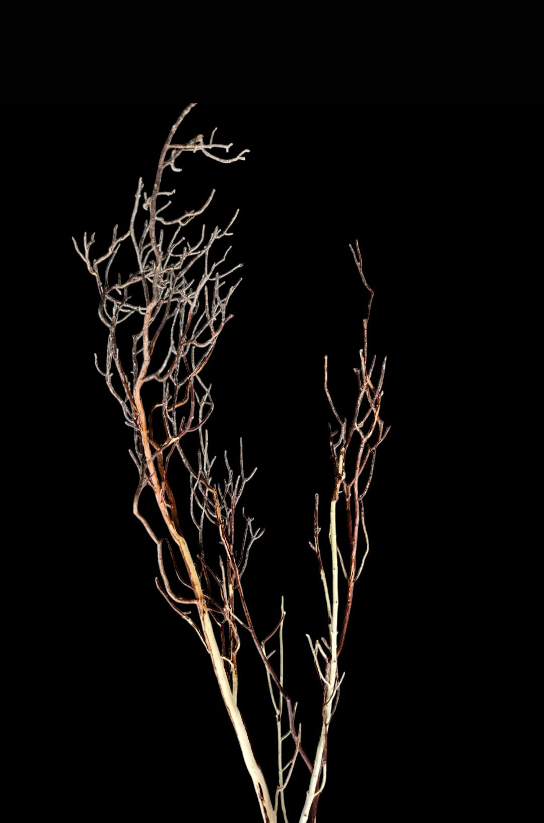 Ghost Wood L Nr.788
