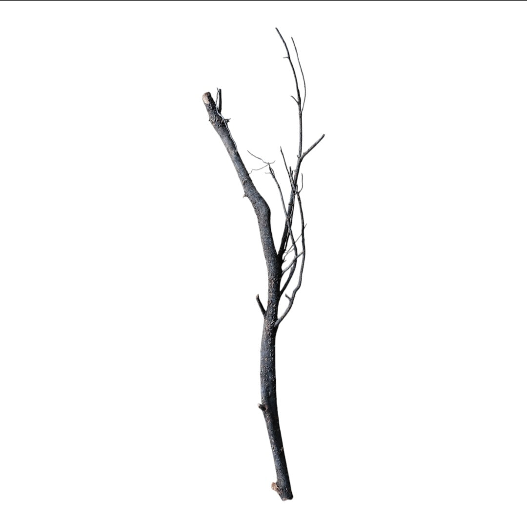 Shadow Wood Nr.795