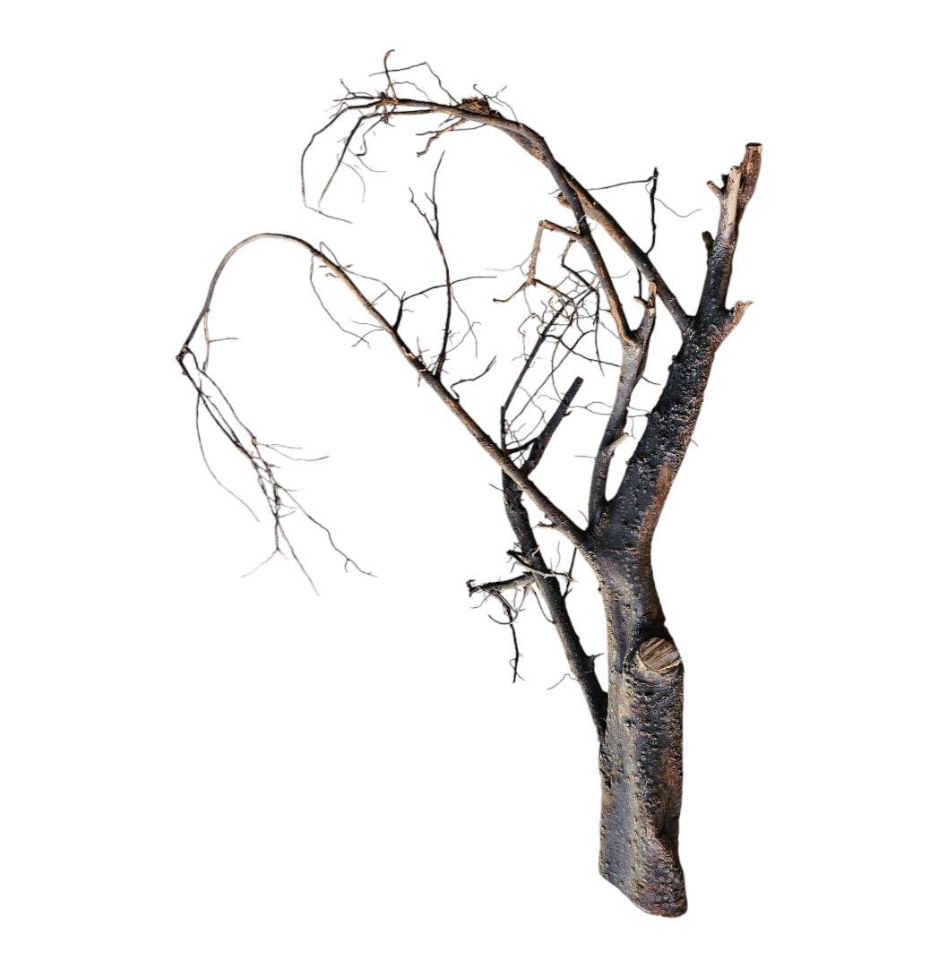Shadow Wood Nr.805