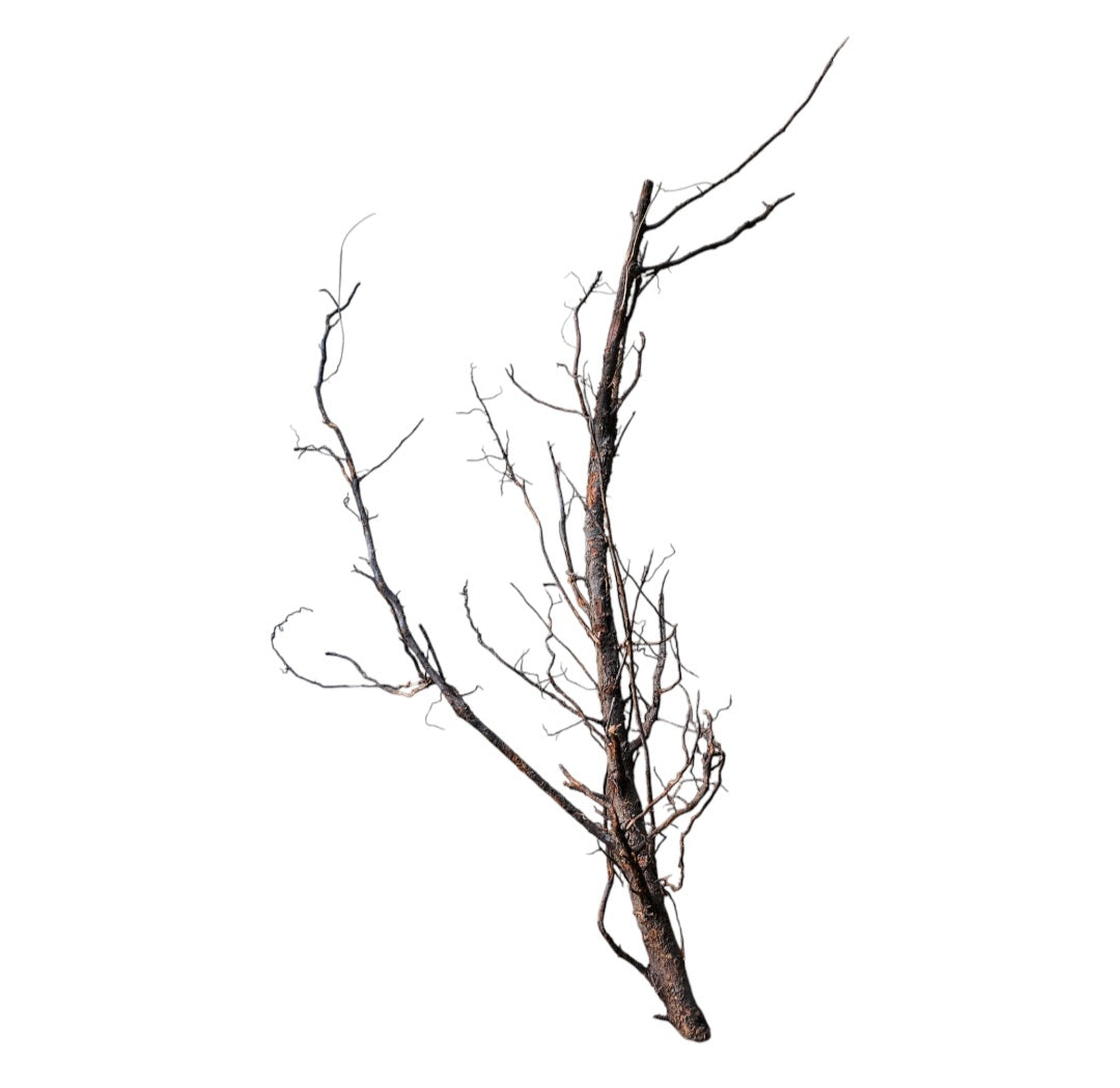 Shadow Wood Nr.803