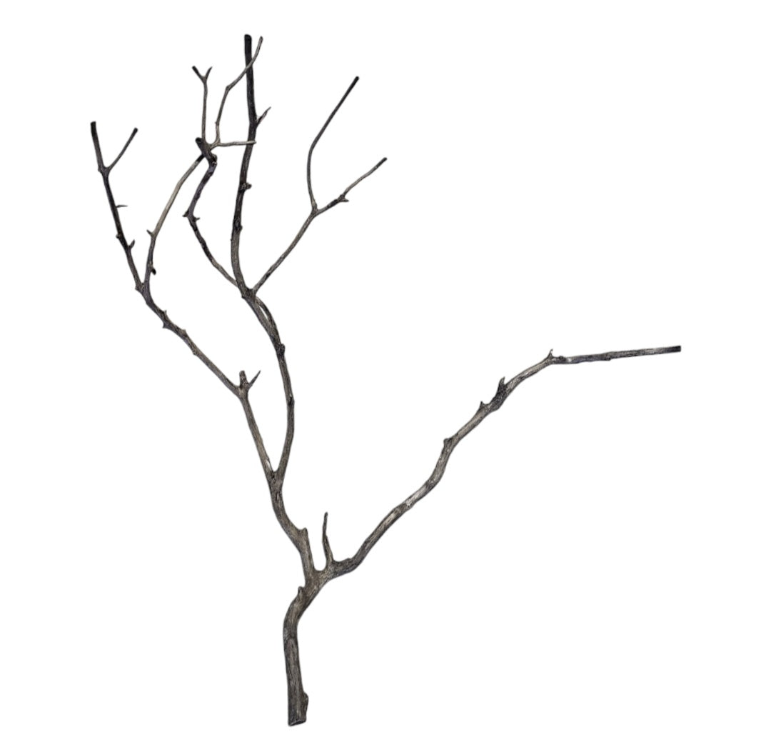 Octopus Wood Nr. 813