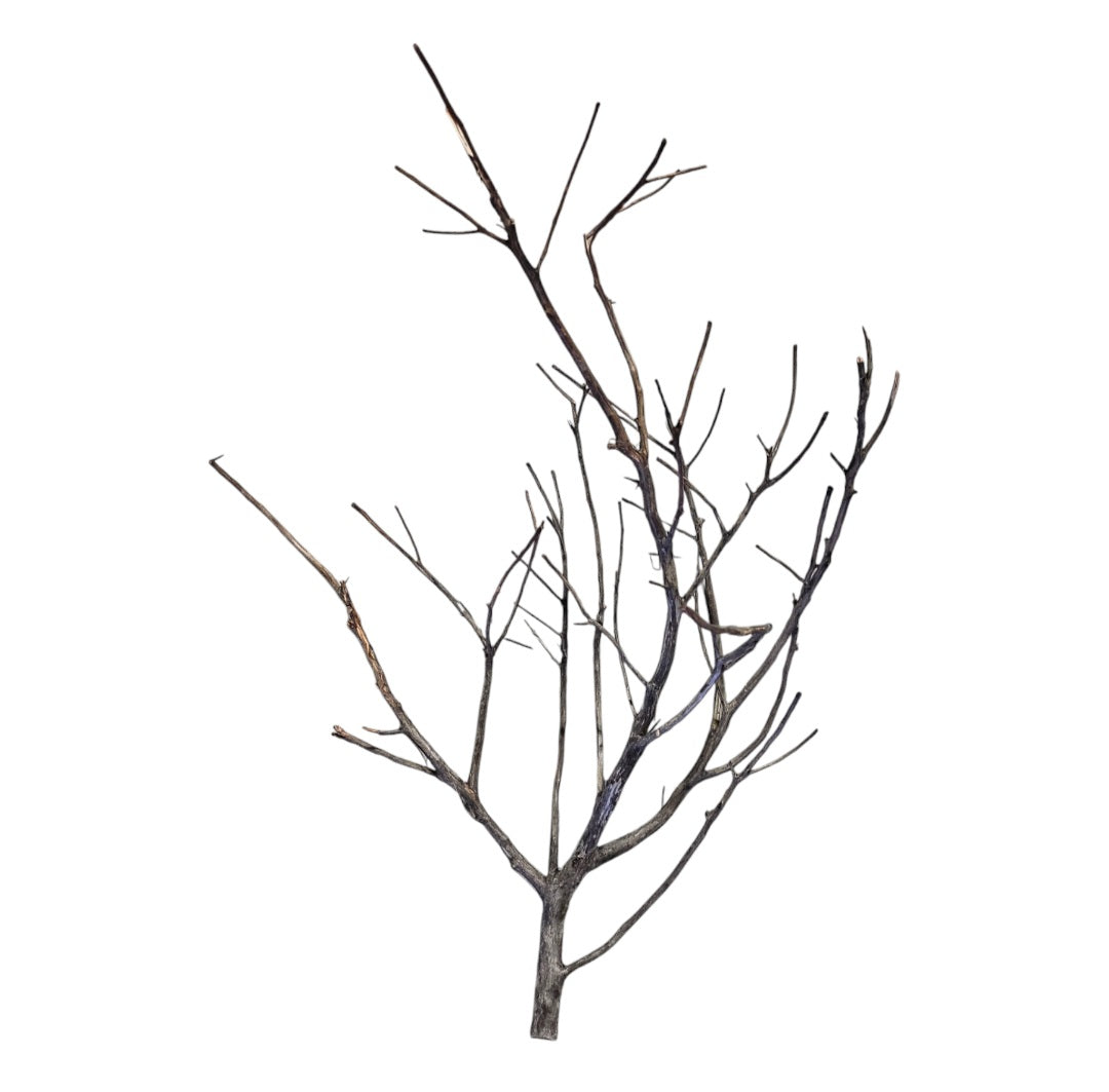 Octopus Wood Nr. 815