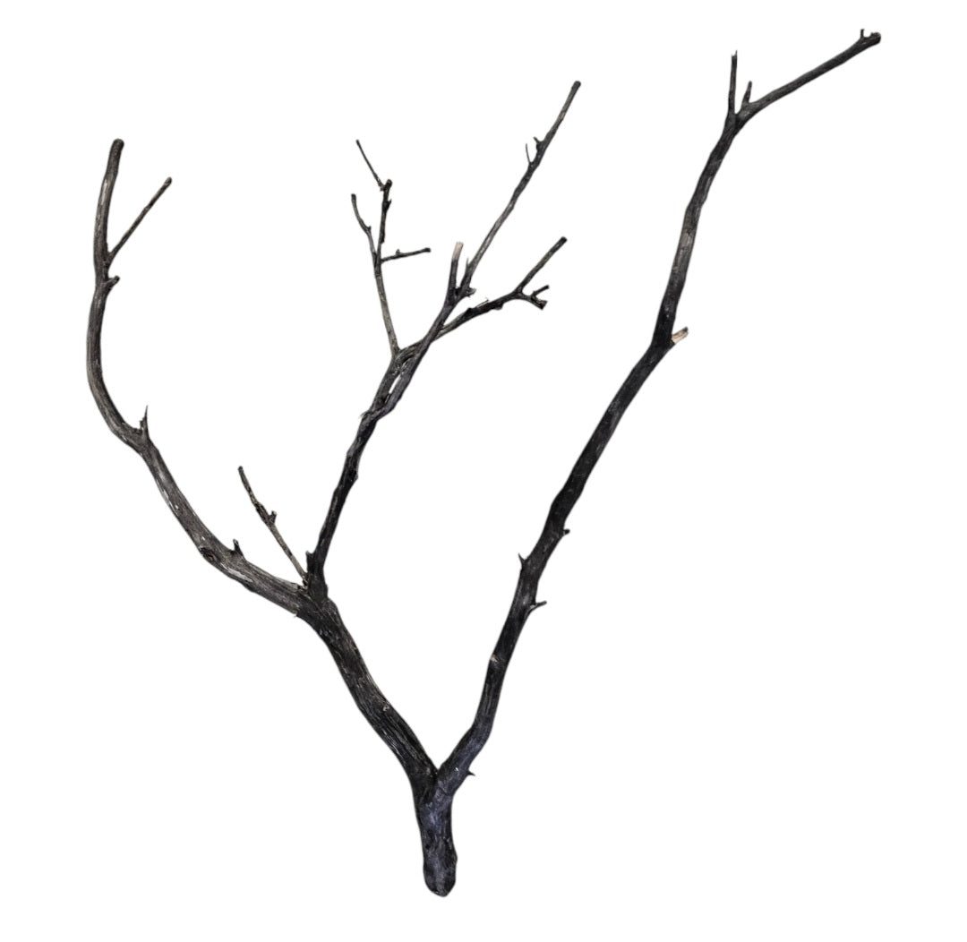Octopus Wood Nr. 820