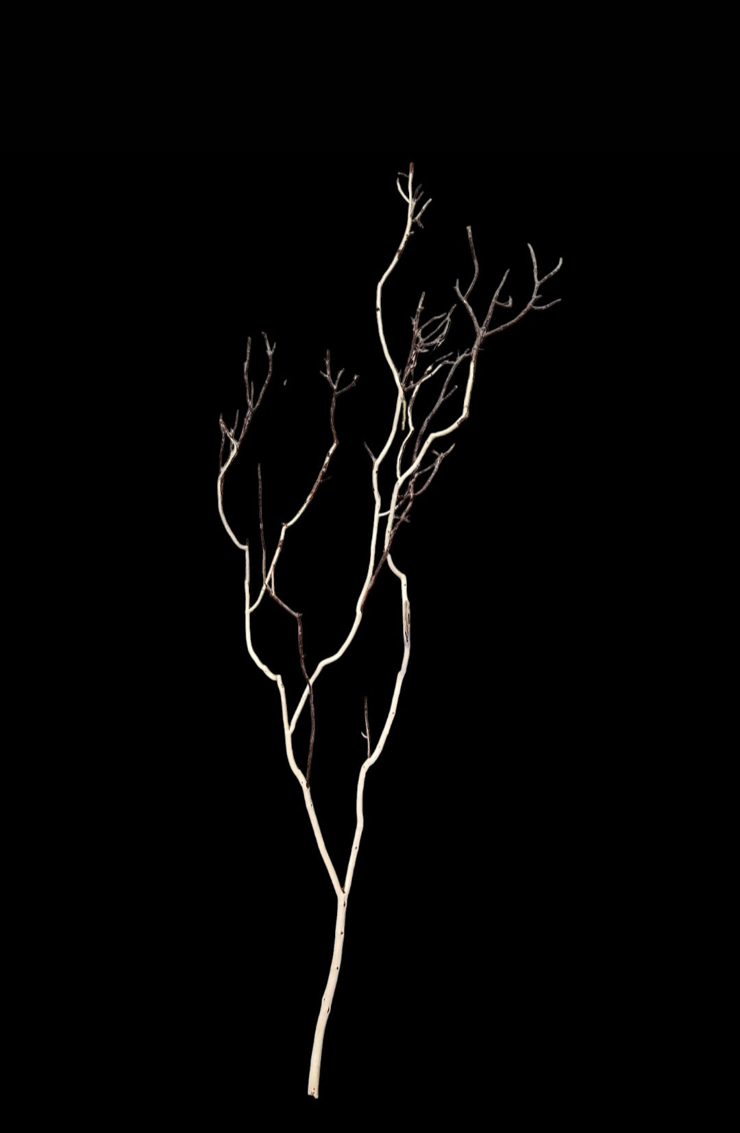 Ghost Wood L Nr.784
