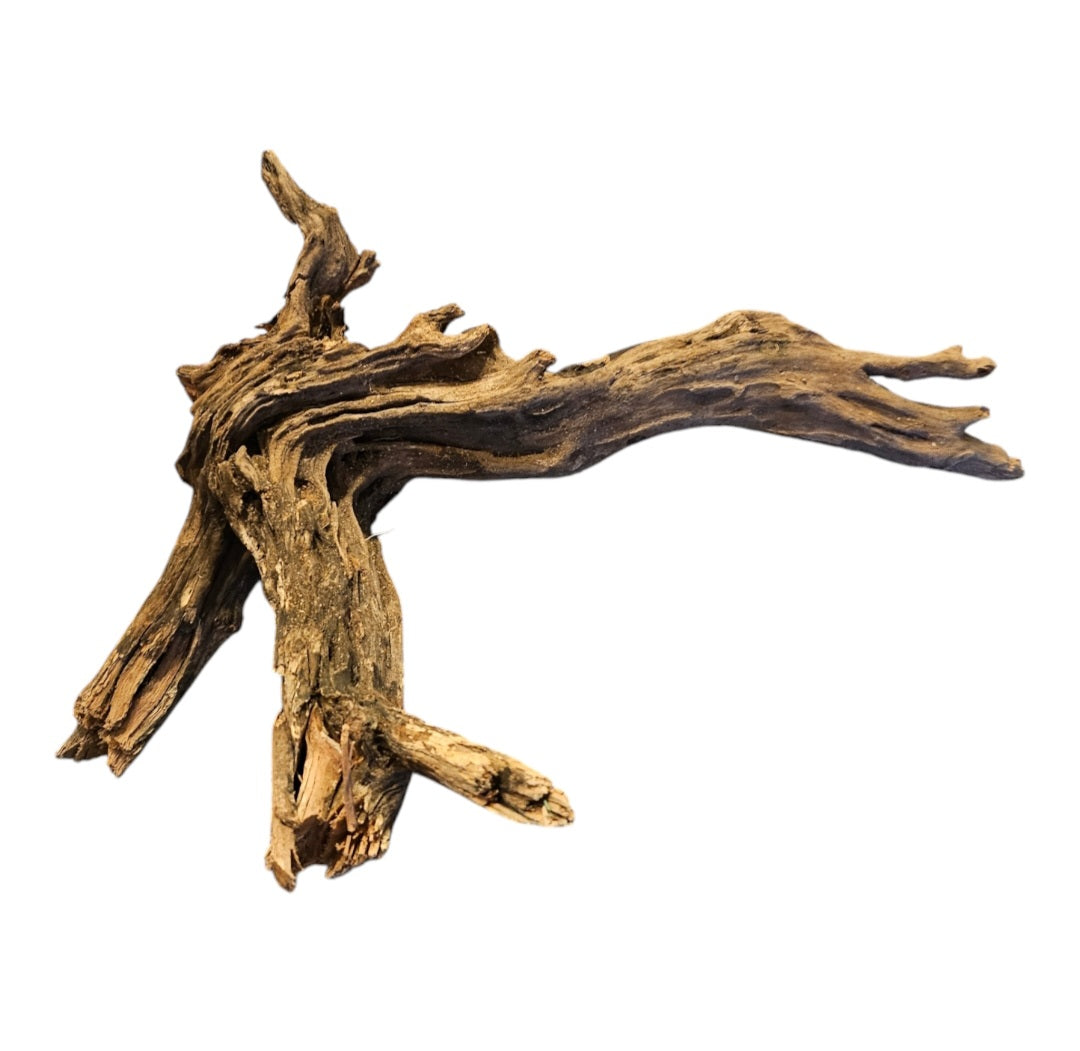 Coral Sinker Wood Nr. 458