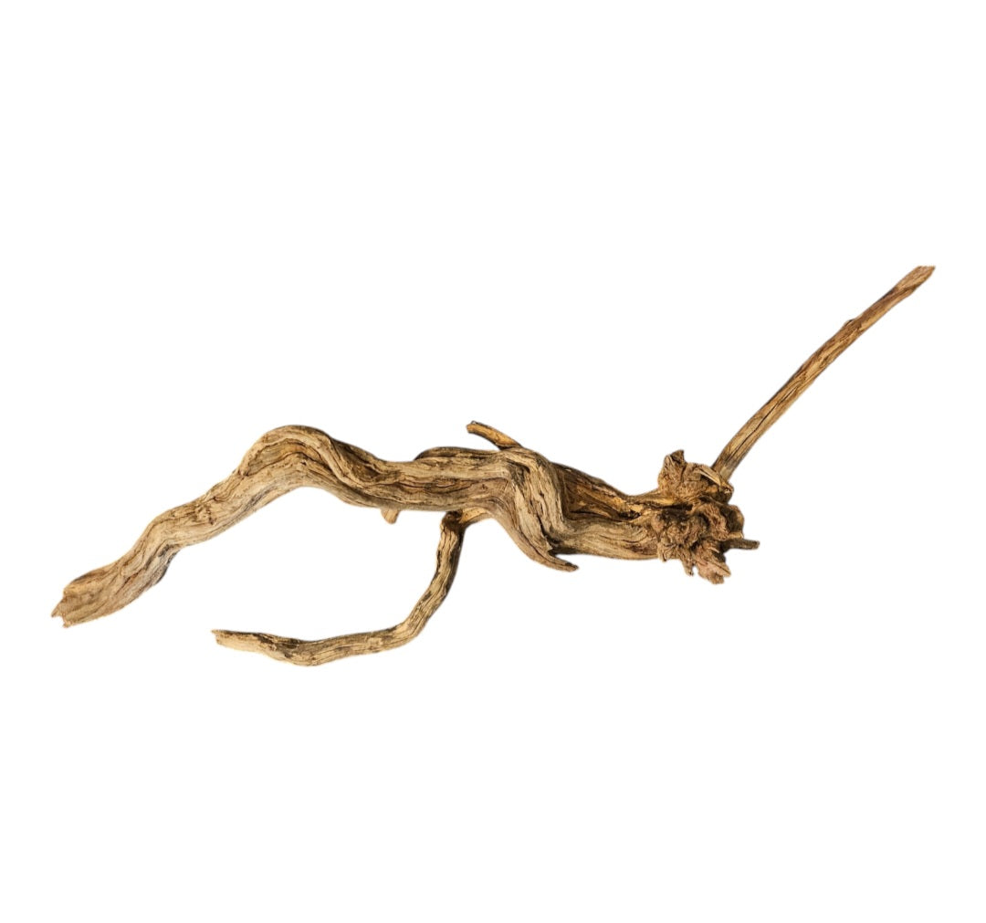 Coral Sinker Wood Nr. 461