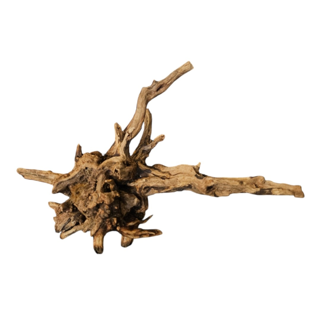 Coral Sinker Wood Nr. 465