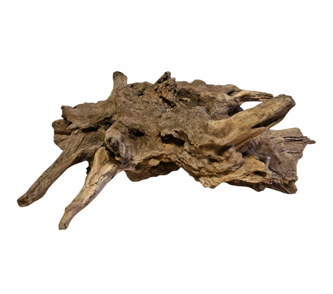 Coral Sinker Wood Nr.554