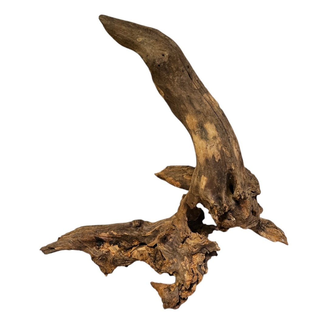 Coral Sinker Wood Nr.564