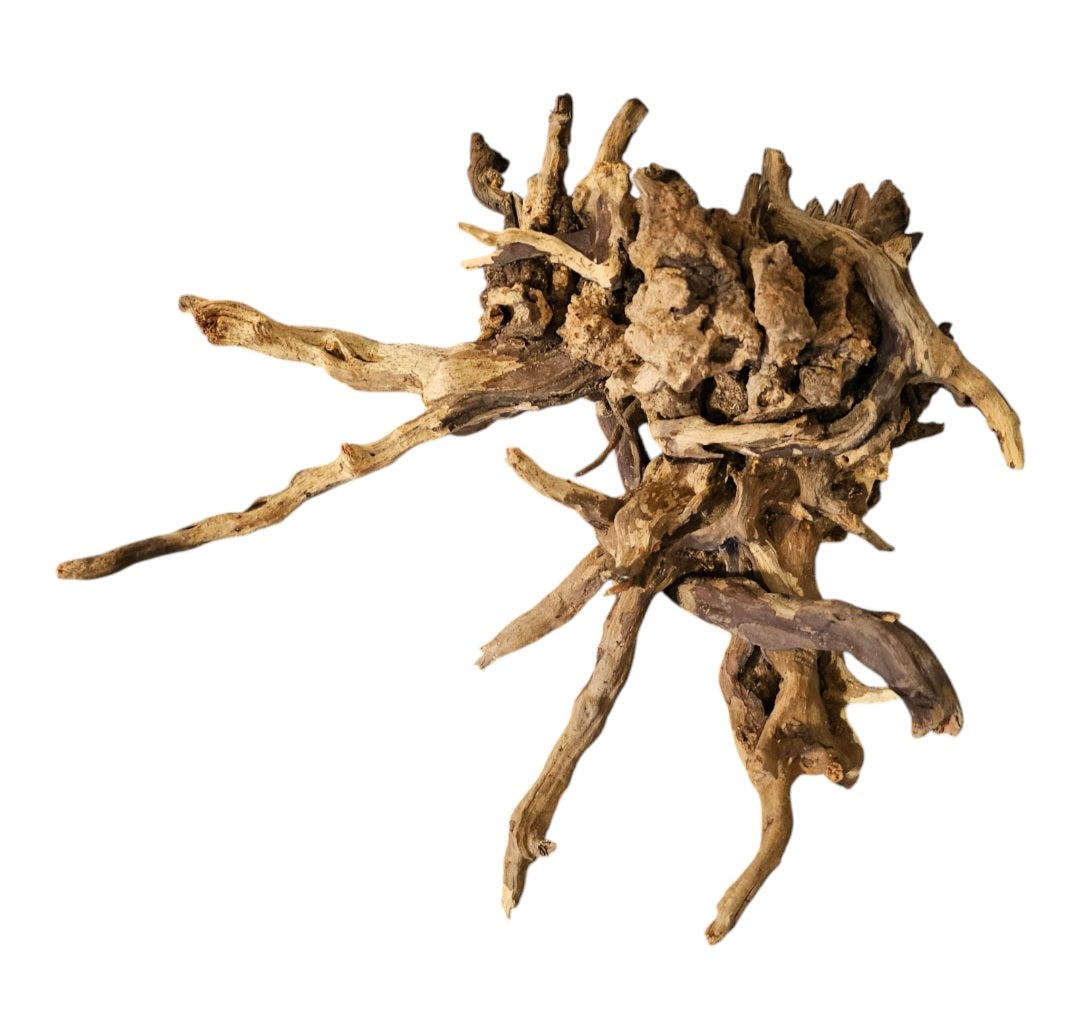 Coral Sinker Wood Nr.610