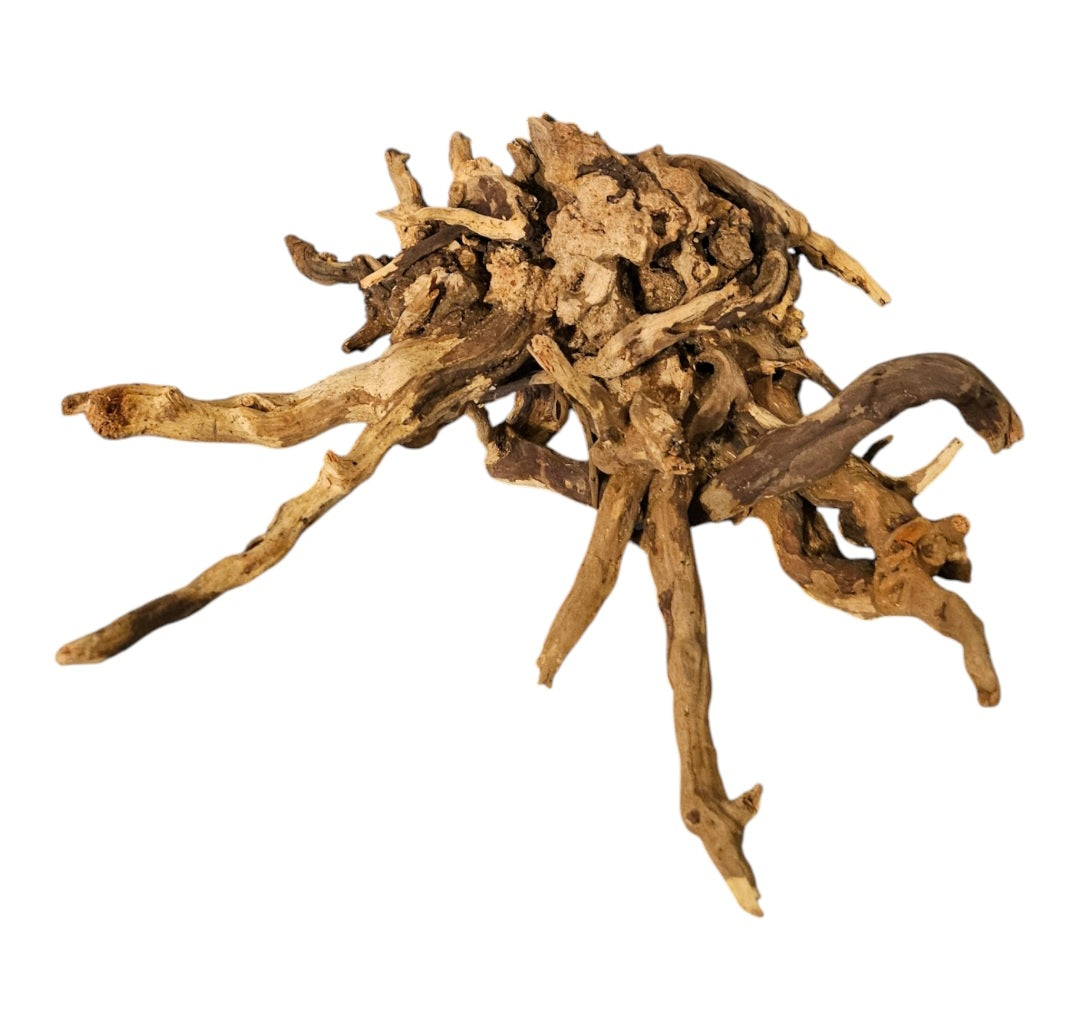 Coral Sinker Wood Nr.610