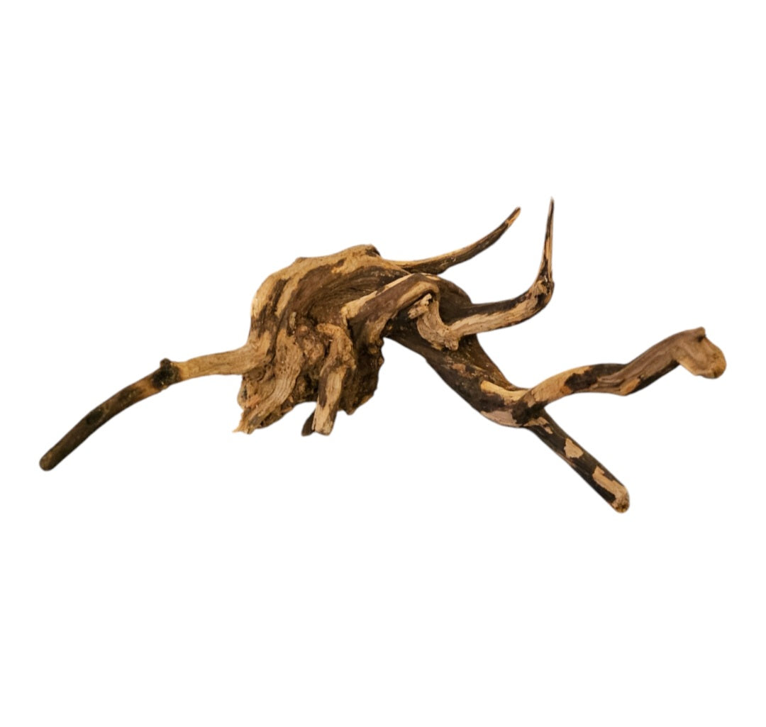 Coral Sinker Wood Nr.623