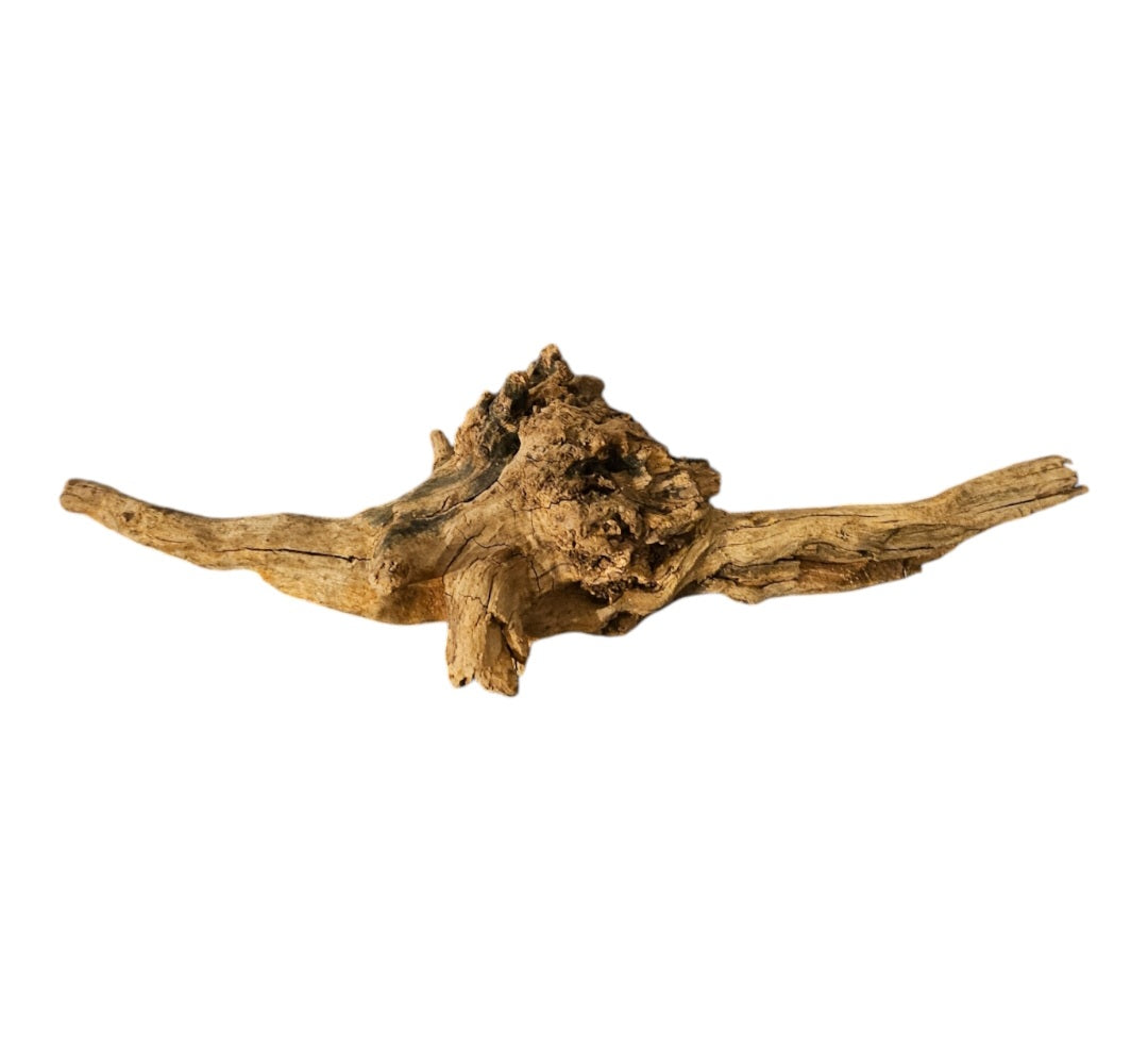 Coral Sinker Wood Nr.625