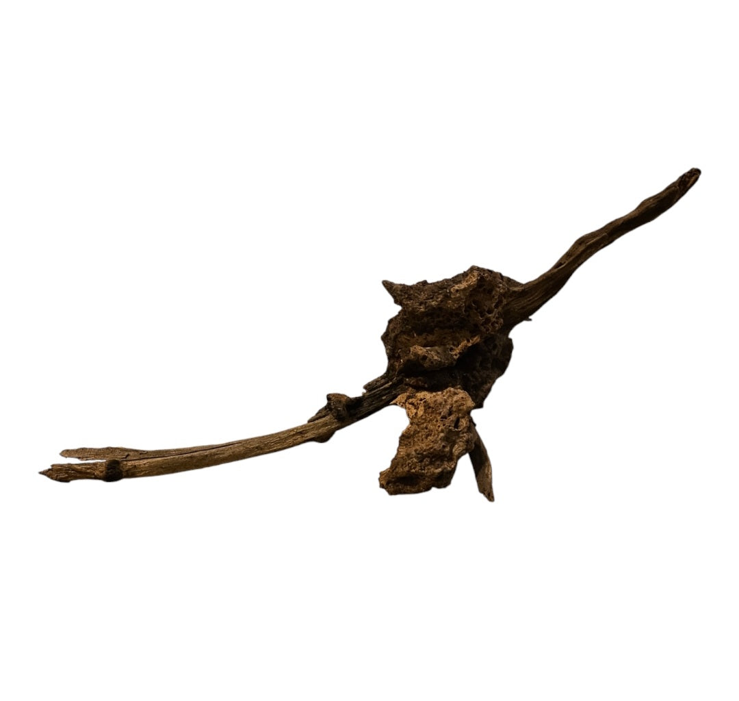 Coral Sinker Wood Nr.632