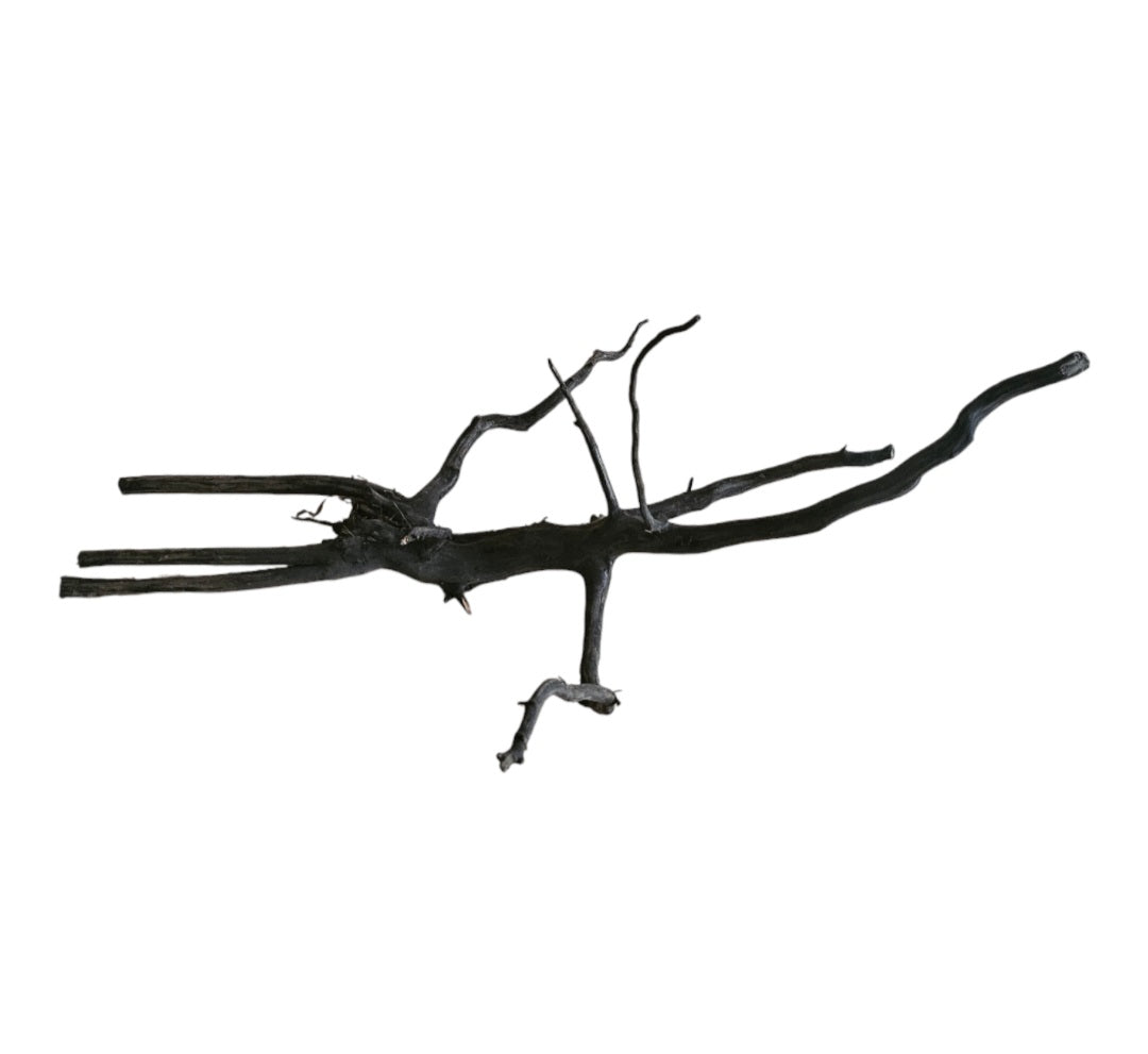 Rasamala Black Scaper Root Nr. 276