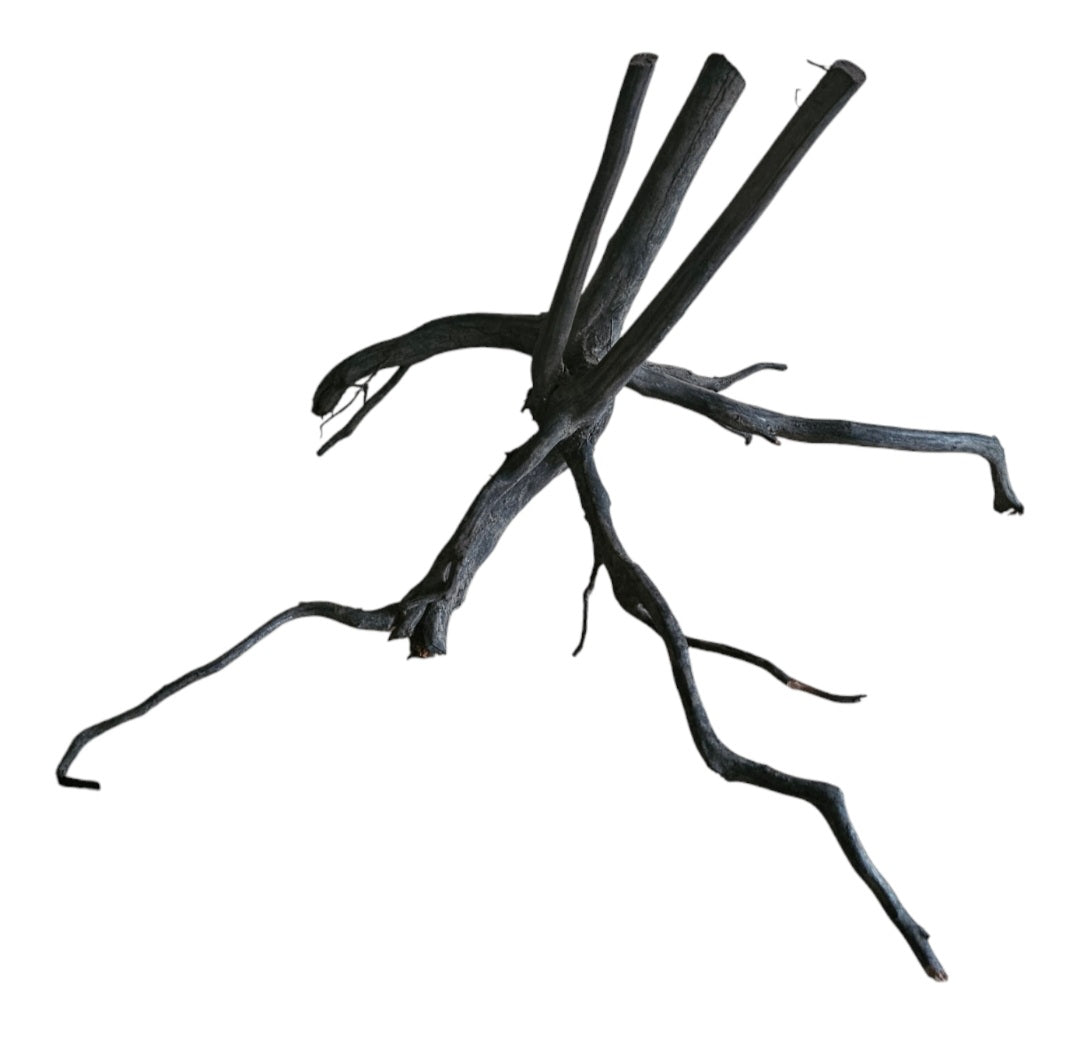 Rasamala Black Scaper Root Nr.749