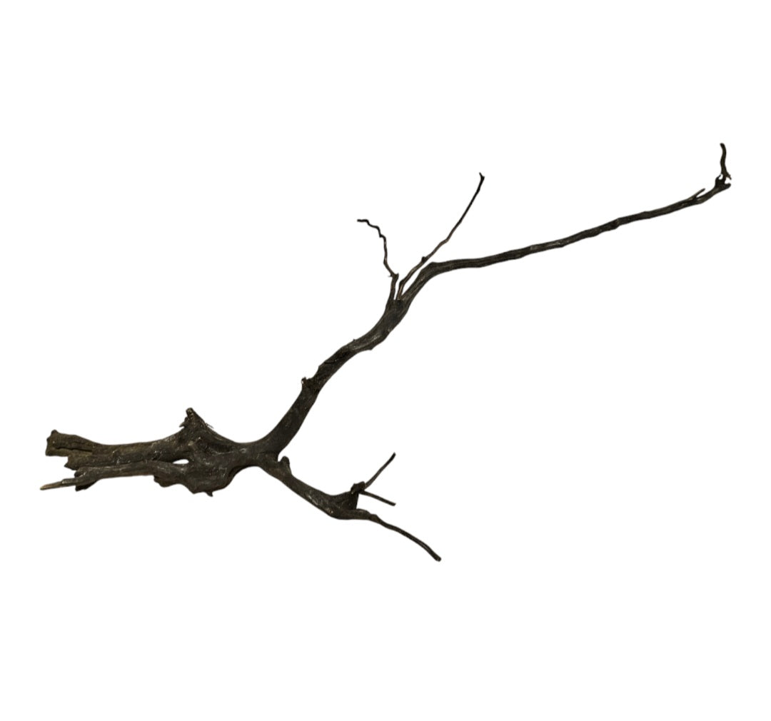 Rasamala Black Scaper Root Nr.765